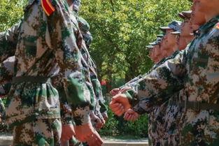 军训最新爆料,最新爆料揭秘神秘训练内容 第3张 军训最新爆料,最新爆料揭秘神秘训练内容 第3张