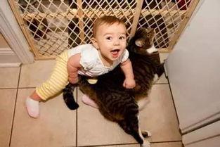 小男孩 在线观看,在线观看，探寻成长与梦想的奇幻之旅