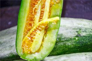 网红刘二萌吃瓜图片,趣味瞬间引网友热议 第2张 网红刘二萌吃瓜图片,趣味瞬间引网友热议 第2张