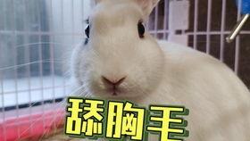 抖音吃瓜网红美女是谁图片,揭秘网络红人的魅力瞬间